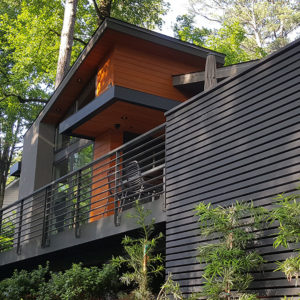 Modern home in woods